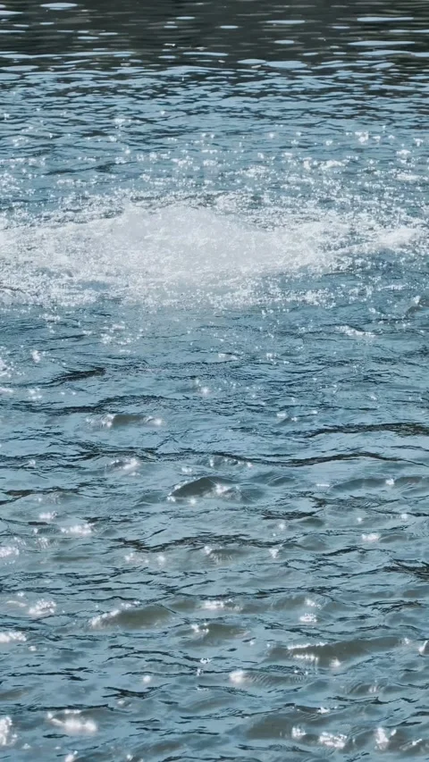 Vertical Slow Motion Deep Green Water Ripples 4K HDR 스톡 동영상 333474953
