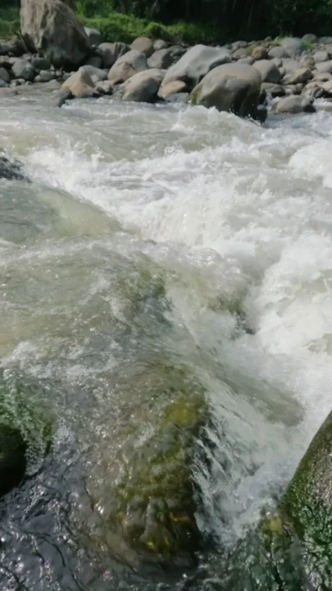 Vertical slow motion of a fast flowing river in the rocky mountains Stock Footage 320977920