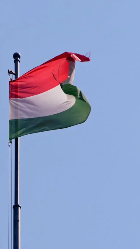 Vertical Slow motion of Hungarian flag in Budapest's breeze Stock Footage 290478209