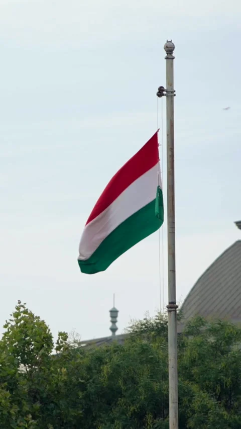 Vertical Slow motion of Hungarian flag gently swaying in Budapest Stock Footage 310853633