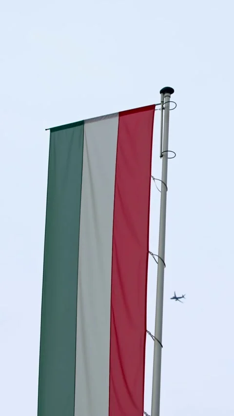 Vertical Slow motion of Hungarian flag among lush green trees Stock Footage 317403032