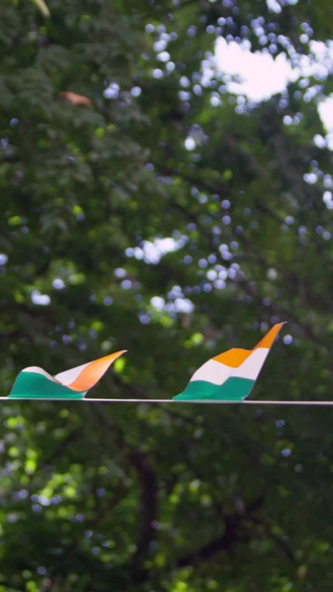 Vertical slow motion of Ireland flag bunting fluttering among trees in park Stock Footage 310853684