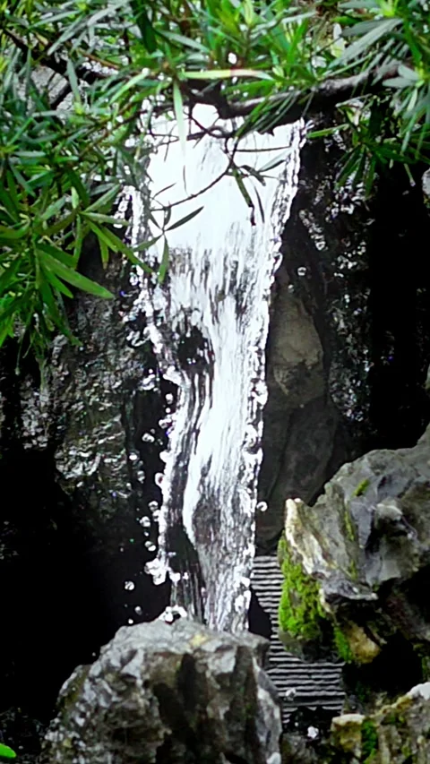 Vertical, Slow Motion of Mini Waterfall, stone and tree branches as foreground Stock Footage 309227026