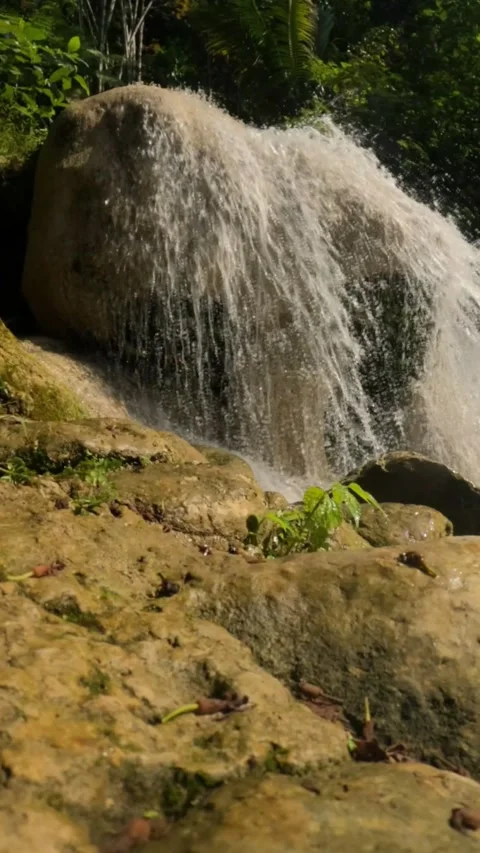 Vertical slow motion of a mountain waterfall with clear water Video stock 321860410