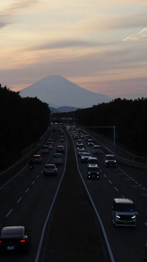 Vertical slow motion mt Fuji at dusk with pine tree silhouettes Japan Video stock 348200309