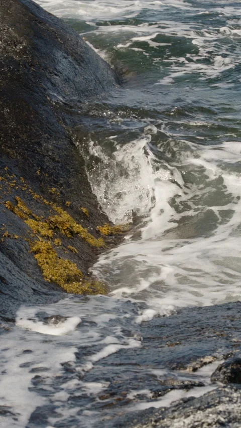 Vertical slow motion of ocean waves crashing against dark coastal rocks. Stock Footage 341120303