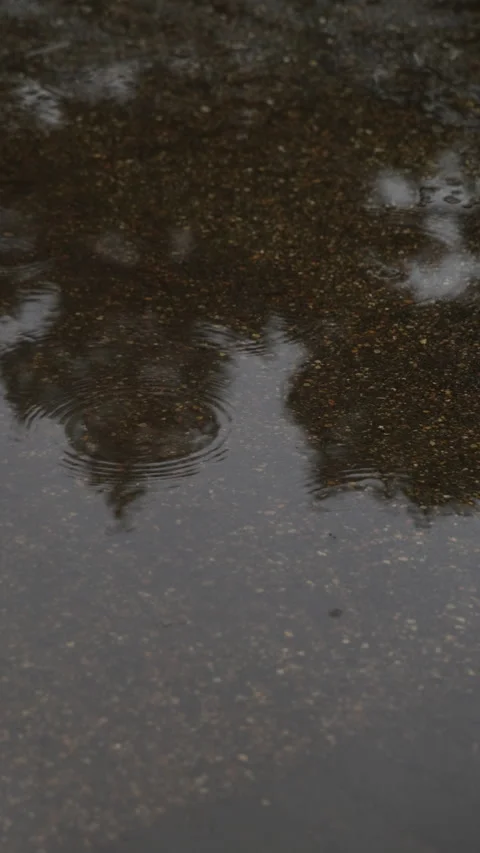 Vertical slow motion rain on a puddle with tree reflections in Japan Video stock 348583929