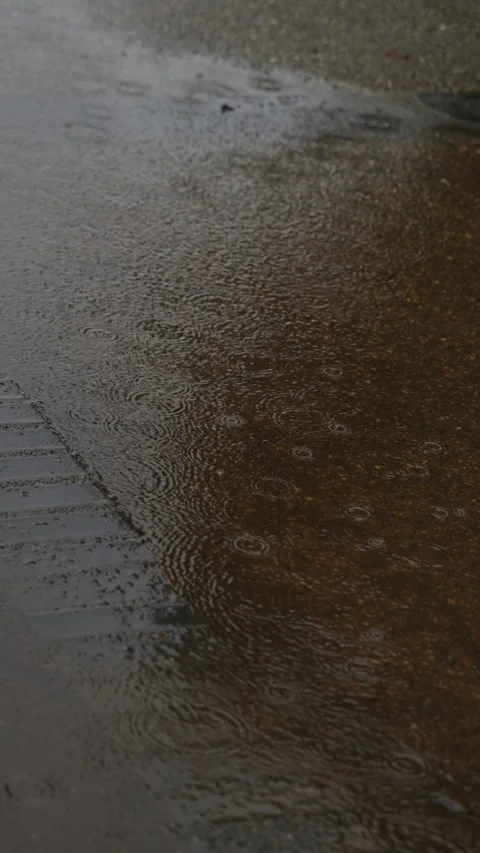 Vertical slow motion raindrops on a puddle on a park path in Japan Video stock 348586998