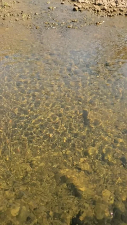 Vertical slow motion ripples on the surface of a clear river with the sparkl Video stock 321859980