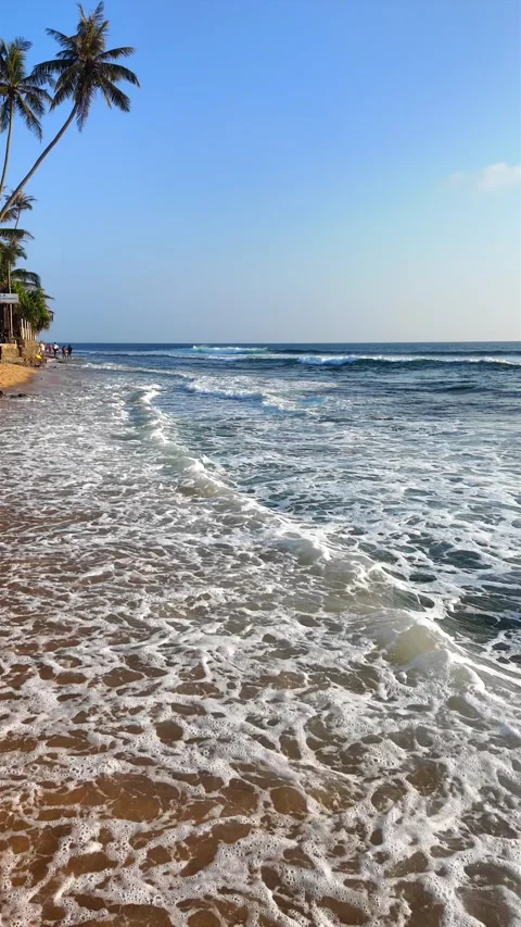 Vertical Slow Motion: Sea Foam &amp; Palm Trees on Hikkaduwa Beach, Sri Lanka 库存影片 329099573