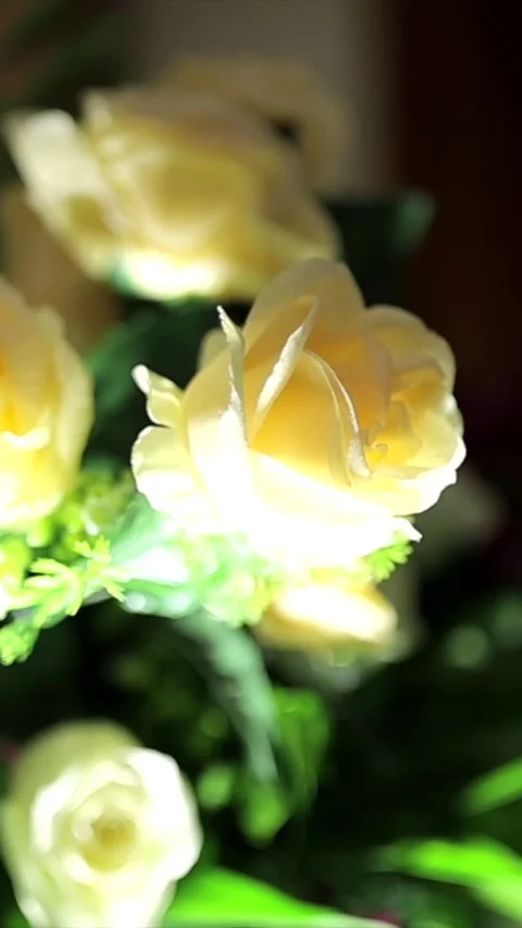 Vertical Slow Motion Shot of Indian Wedding Venue Decoration in India 스톡 동영상 331559543