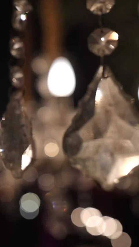 Vertical Slow Motion Shot of Indian Wedding Venue Decoration in India Vidéo 331559591