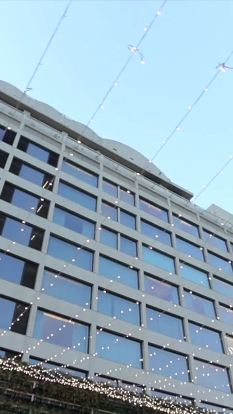 Vertical Slow Motion Shot of Indian Wedding Venue Decoration in India Vidéo 331559607