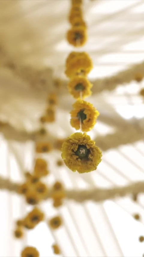 Vertical Slow Motion Shot of Indian Wedding Venue Decoration in India 動画素材 331559633