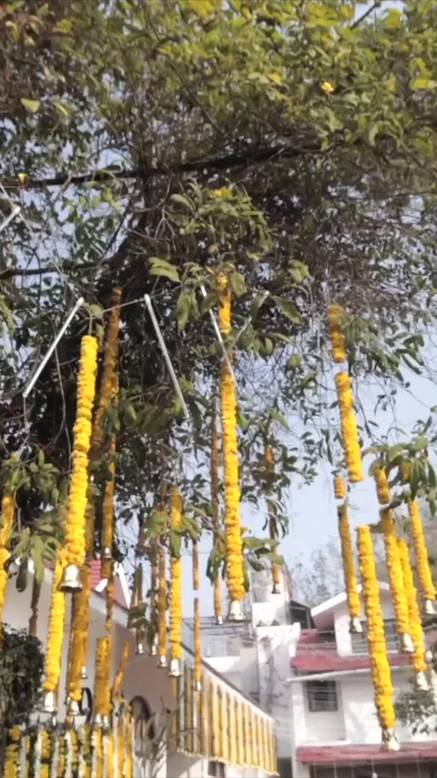 Vertical Slow Motion Shot of Indian Wedding Venue Decoration in India Stock Footage 335736433