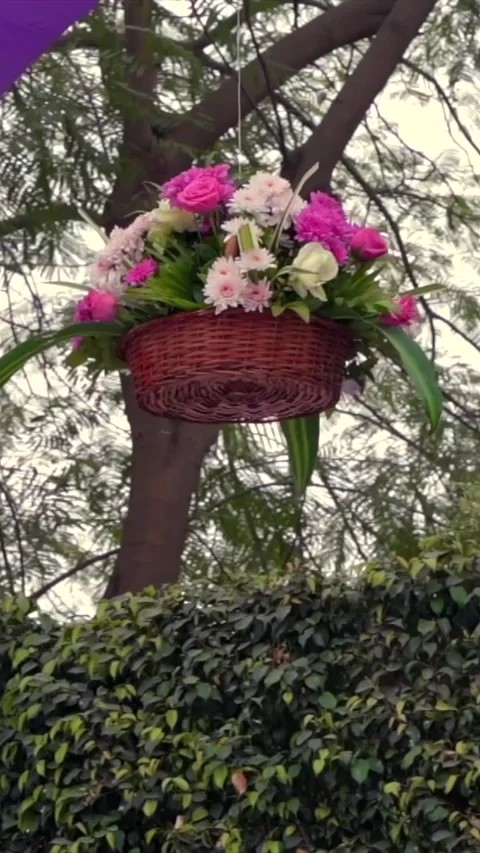 Vertical Slow Motion Shot of Indian Wedding Venue Decoration in India Stock Footage 337405340