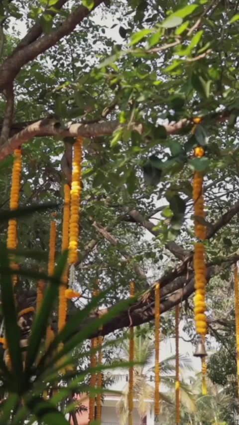 Vertical Slow Motion Shot of Indian Wedding Venue Decoration in India 動画素材 337405362