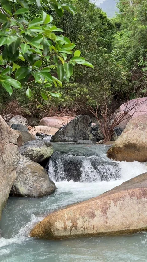 A vertical slow motion shot of a mountain river flowing between smooth stones Stock Footage 324853506