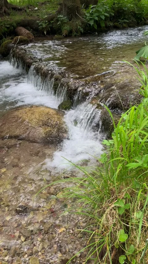 Vertical slow motion shot of a small forest stream cascade Stock Footage 312896712