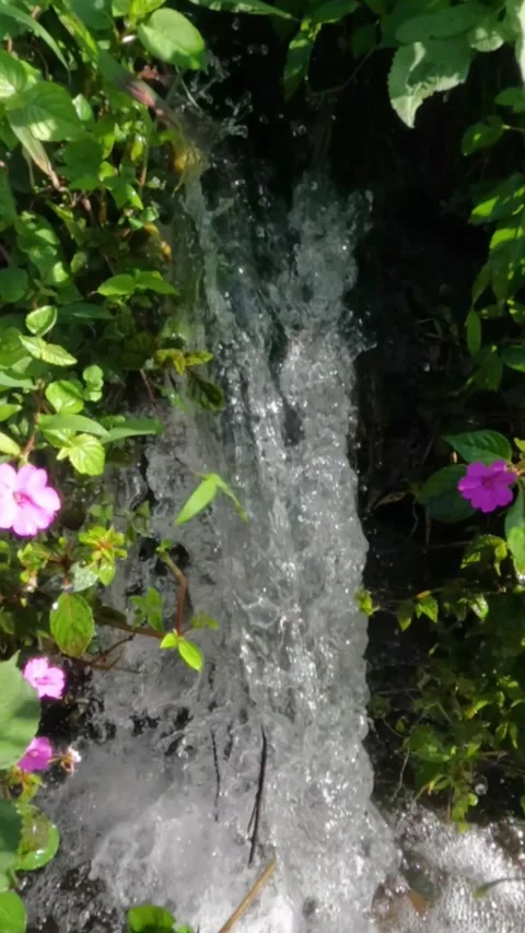 Vertical Slow motion of a small waterfall passing through green grass Stock Footage 320057783