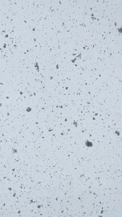 Vertical slow-motion snowfall Stock Footage 305283849
