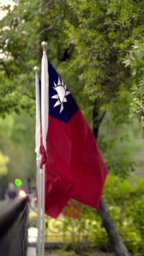 Vertical Slow motion of Taiwan flag among trees in a quiet park Stock Footage 314466351