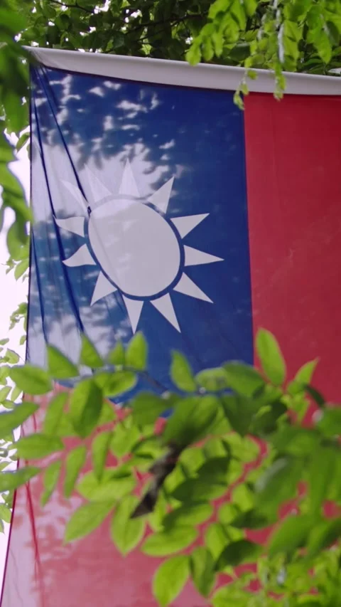 Vertical Slow motion of Taiwan flag partially obscured by green leaves Stock Footage 315785708
