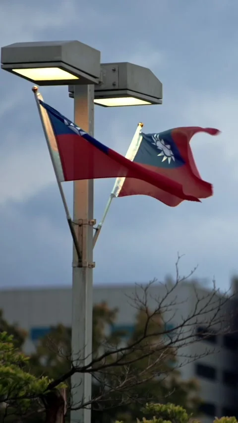 Vertical Slow motion of Taiwan flag with city lights and Taipei 101 in view Stock Footage 315785800