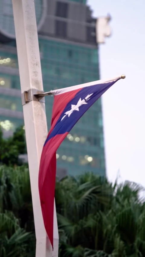 Vertical Slow motion of Taiwan flag seen through branches of a tree Stock Footage 317403077