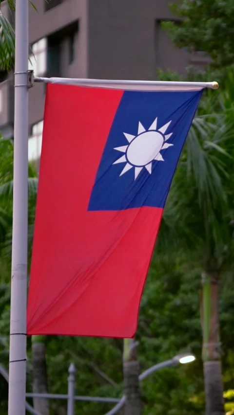 Vertical Slow motion of Taiwan flag on pole with tropical palm trees Stock Footage 317904863