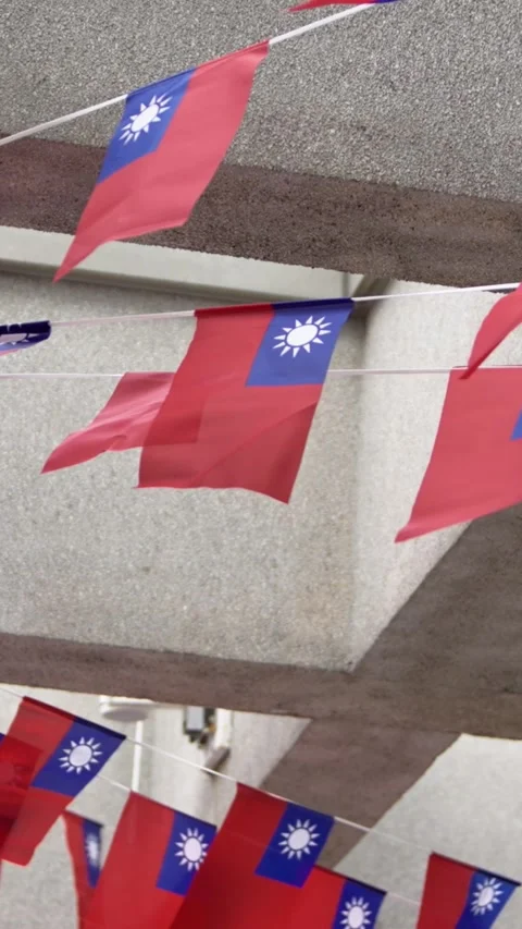 Vertical Slow motion of Taiwan flag flying on rooftop with trees Stock Footage 317904881