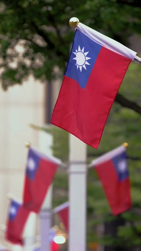 Vertical Slow motion of Taiwan flag waving on pole with trees background Stock Footage 318671791