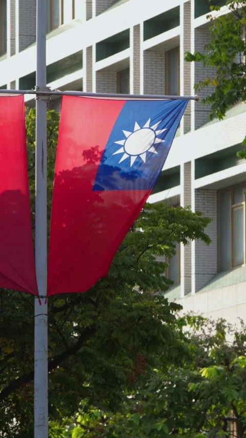 Vertical Slow motion of Taiwan flags on street lamp pole Stock Footage 307571582