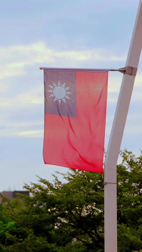 Vertical Slow motion of Taiwan flags waving under cloudy sky Stock Footage 316700290