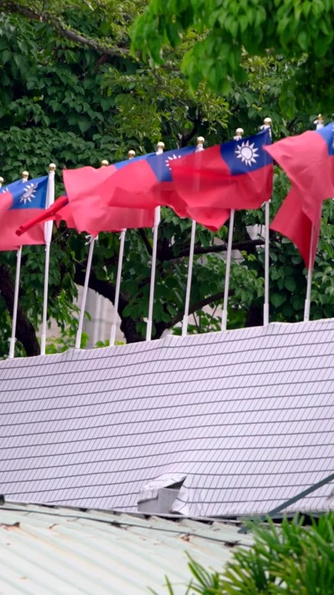 Vertical Slow motion of Taiwan flags near branches and leaves Stock Footage 317403122