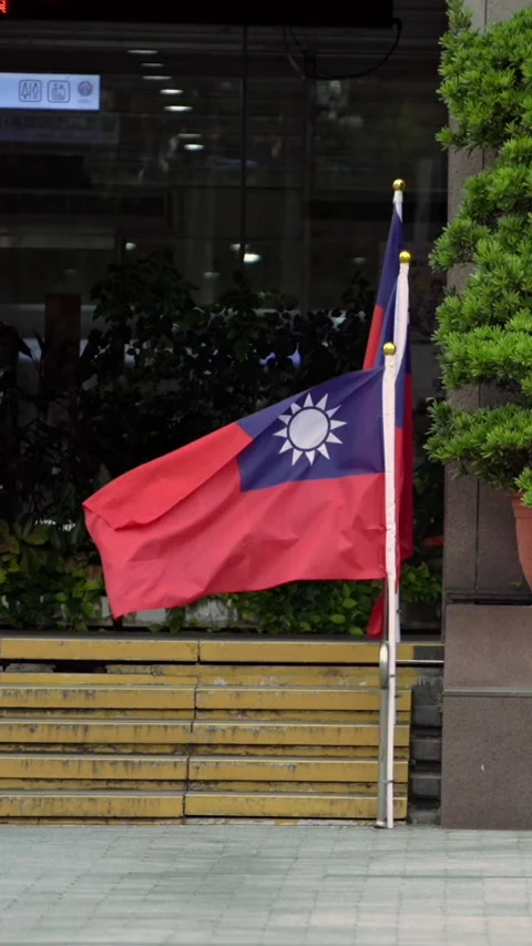 Vertical Slow motion of Taiwan flags at public building entrance Stock Footage 318671766