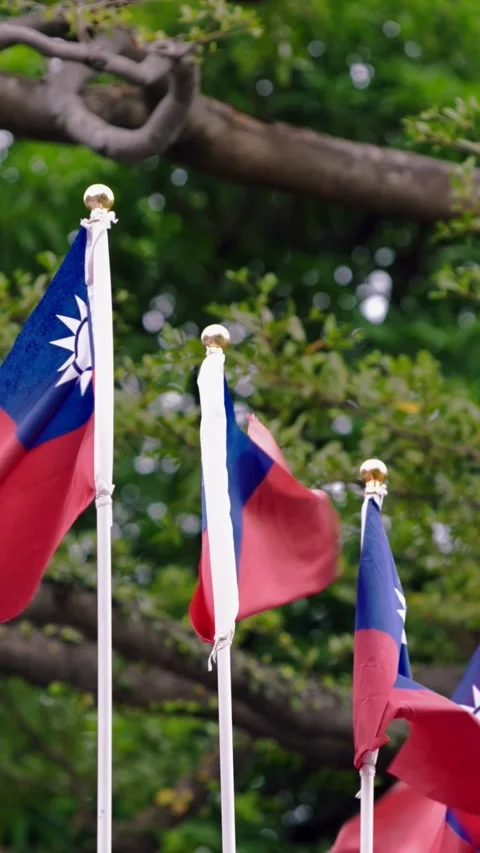 Vertical Slow motion of Taiwan flags fluttering in a public space Stock Footage 318671802