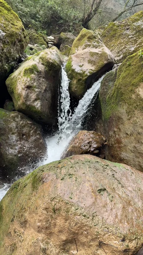 Vertical Slow Motion of Tiered Mountain Waterfall in Forest Stock Footage 330622964