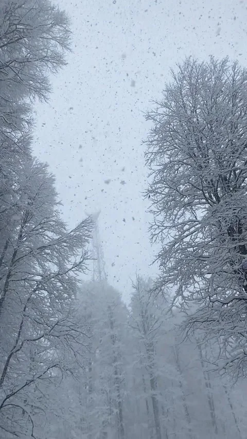 Vertical slow motion video. Heavy snowfall falls on trees and skiers in large Stock Footage 289024373