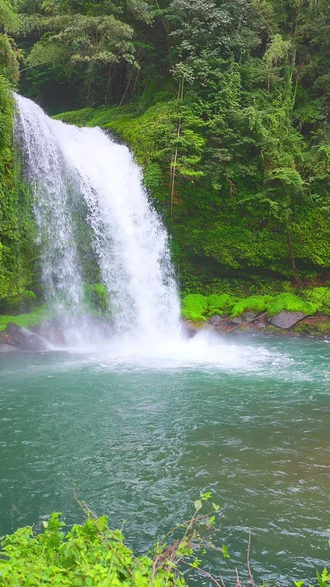 Vertical slow motion view of Jion Falls cascading into turquoise basin 動画素材 341806421