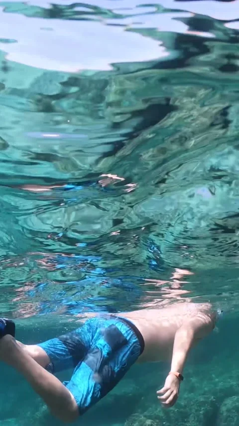 Vertical slow motion view of a man snorkeling Stock Footage 342509688