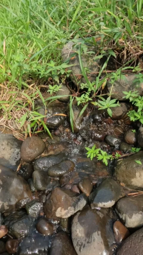 Vertical slow motion of water flowing from a spring in the rocky mountains Video stock 320977228