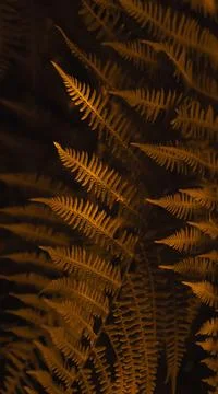 Vertical smartpone stories format background of brown autumn fern leaves Фото