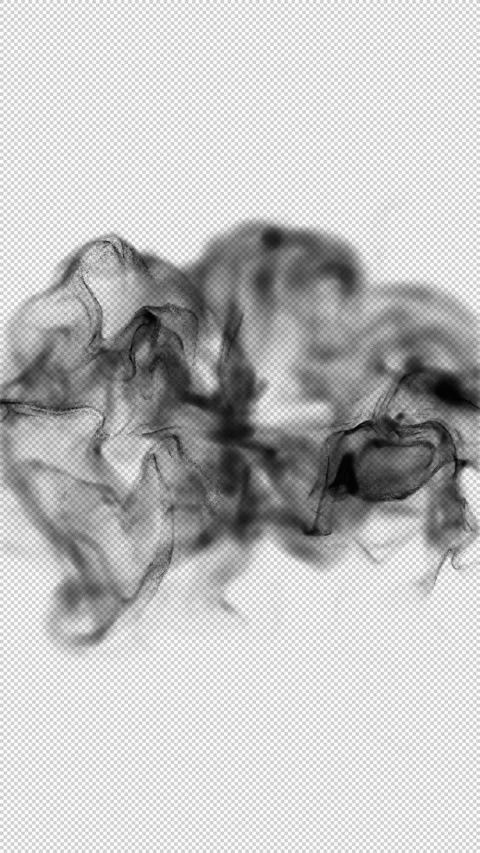 Vertical Smoke Clouds Colliding on Transparent Background Stock-Footage 344973122