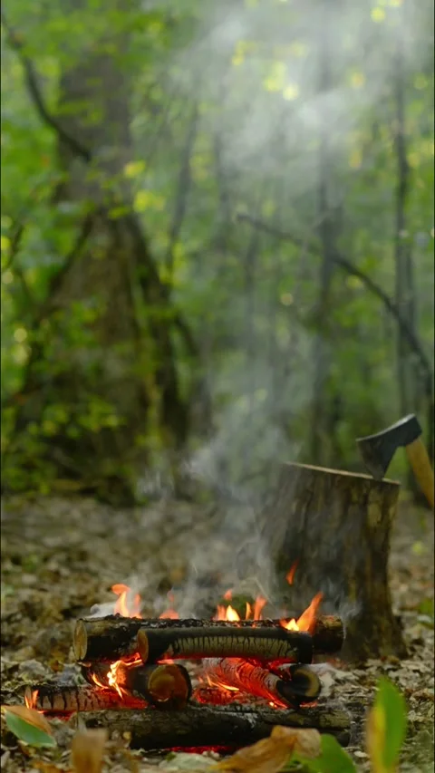 Vertical Smoldering Campfire with Smoke and Axe Loop Stock-Footage 343607808