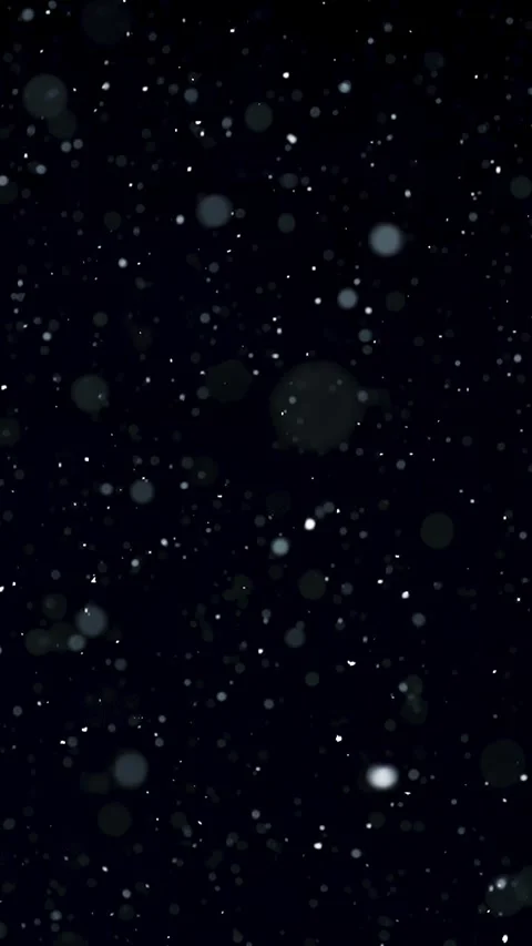 Vertical snow is snowing in winter background Video stock 295346636