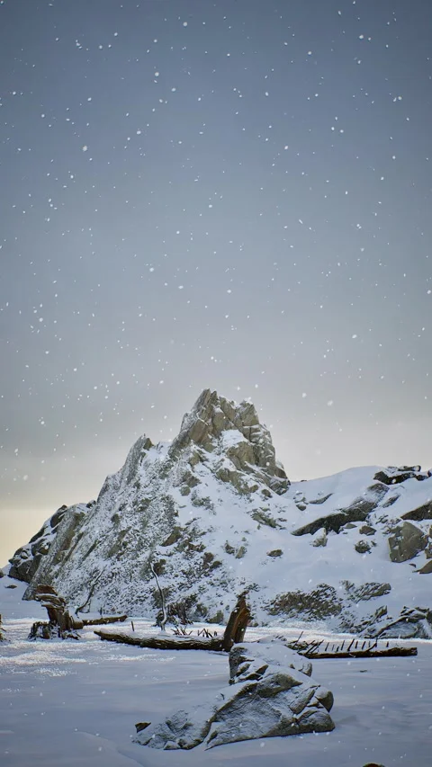 Vertical Snowy mountain range with a lone tree branch sticking out of the sno Stock Footage 292456781