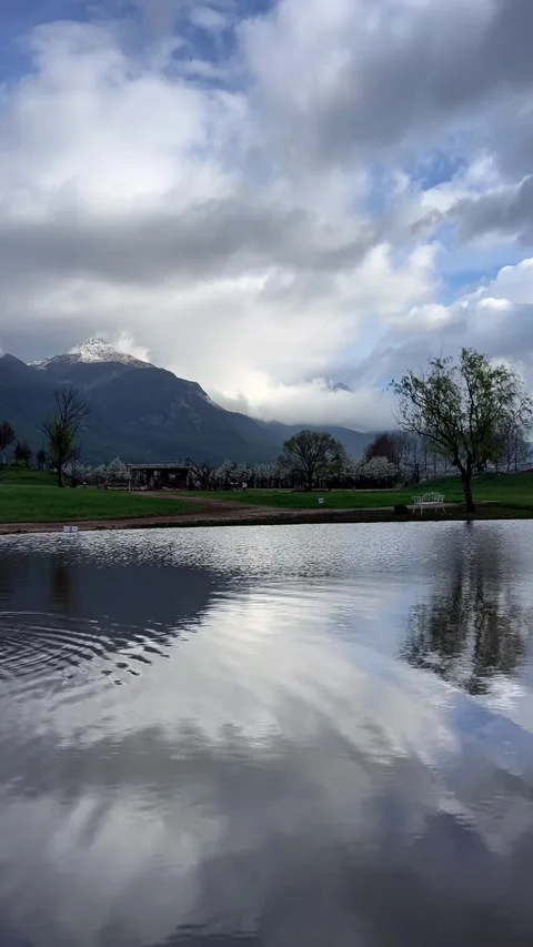 Vertical Snowy Mountain Reflection in Calm Lake with Spring Blossom 動画素材 334014157