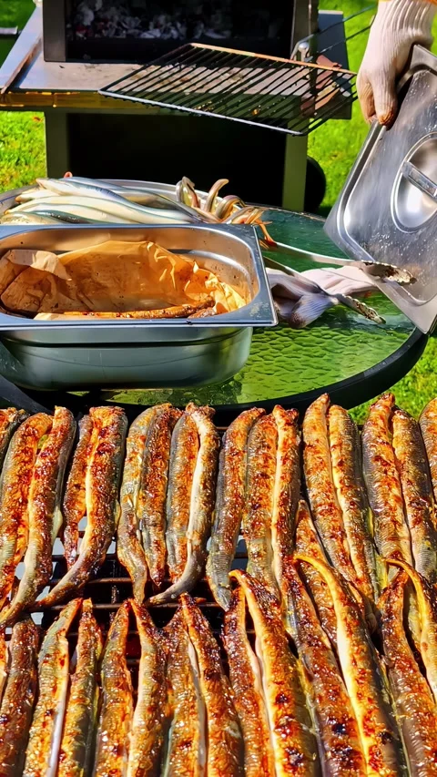 Vertical social ratio video of cooked fish on a grill on a sunny day as a chef Stock Footage 336945961