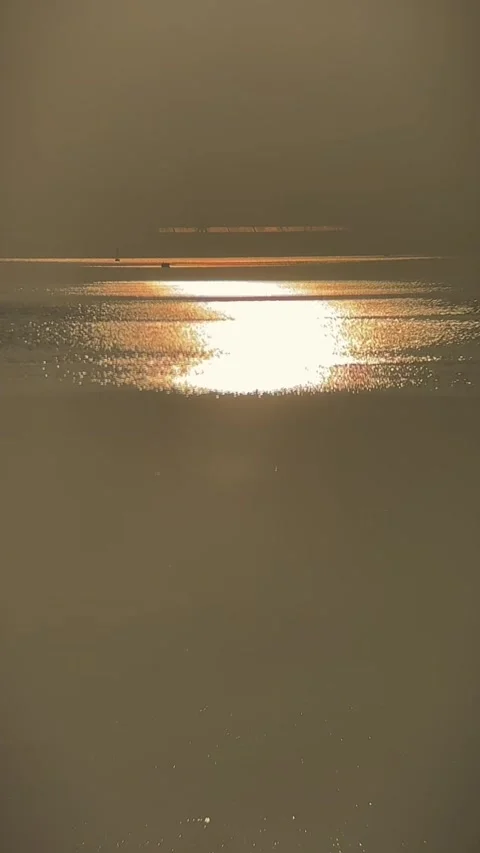 Vertical Sparkling Golden Sun Reflection on Water Ripples Video stock 332480732
